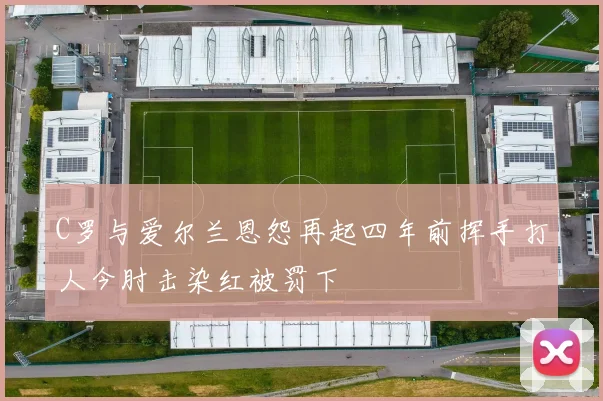 C罗与爱尔兰恩怨再起四年前挥手打人今肘击染红被罚下