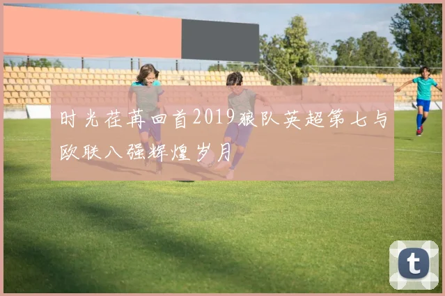 时光荏苒回首2019狼队英超第七与欧联八强辉煌岁月