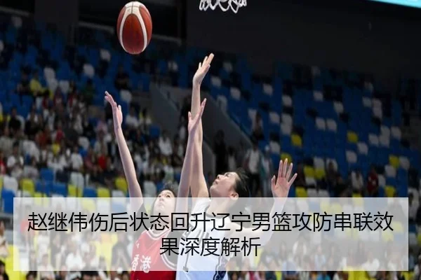 赵继伟伤后状态回升辽宁男篮攻防串联效果深度解析(leyu.com)